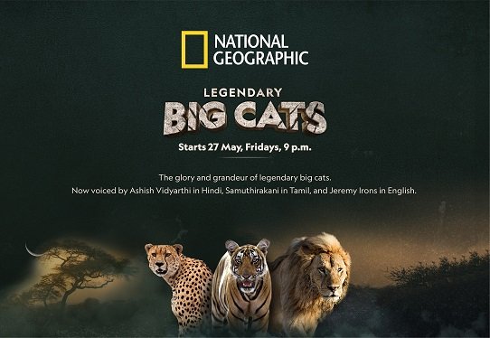 Nat Geo_ Legendary Big Cats