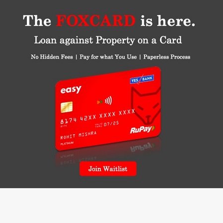 EASY_Fox Card