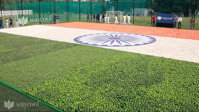 WayCool creates 7500+ sqft tricolor with fresh vegetables